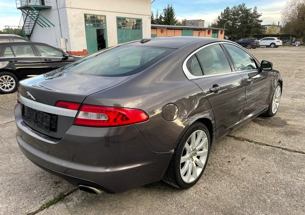 Jaguar XF cena 16700 przebieg: 244580, rok produkcji 2008 z Nysa małe 466